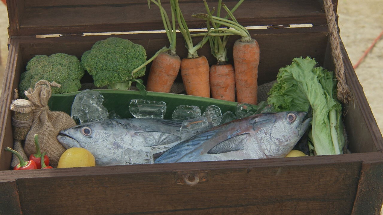 Robinson - Season 28 Episode 17 : Episode 17