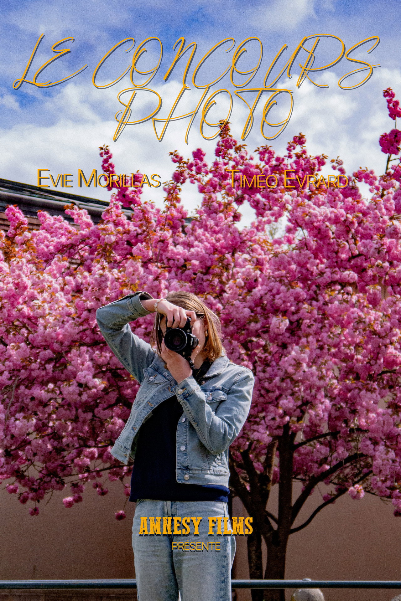 Le Concours Photo - Objectif Dole filmaffisch