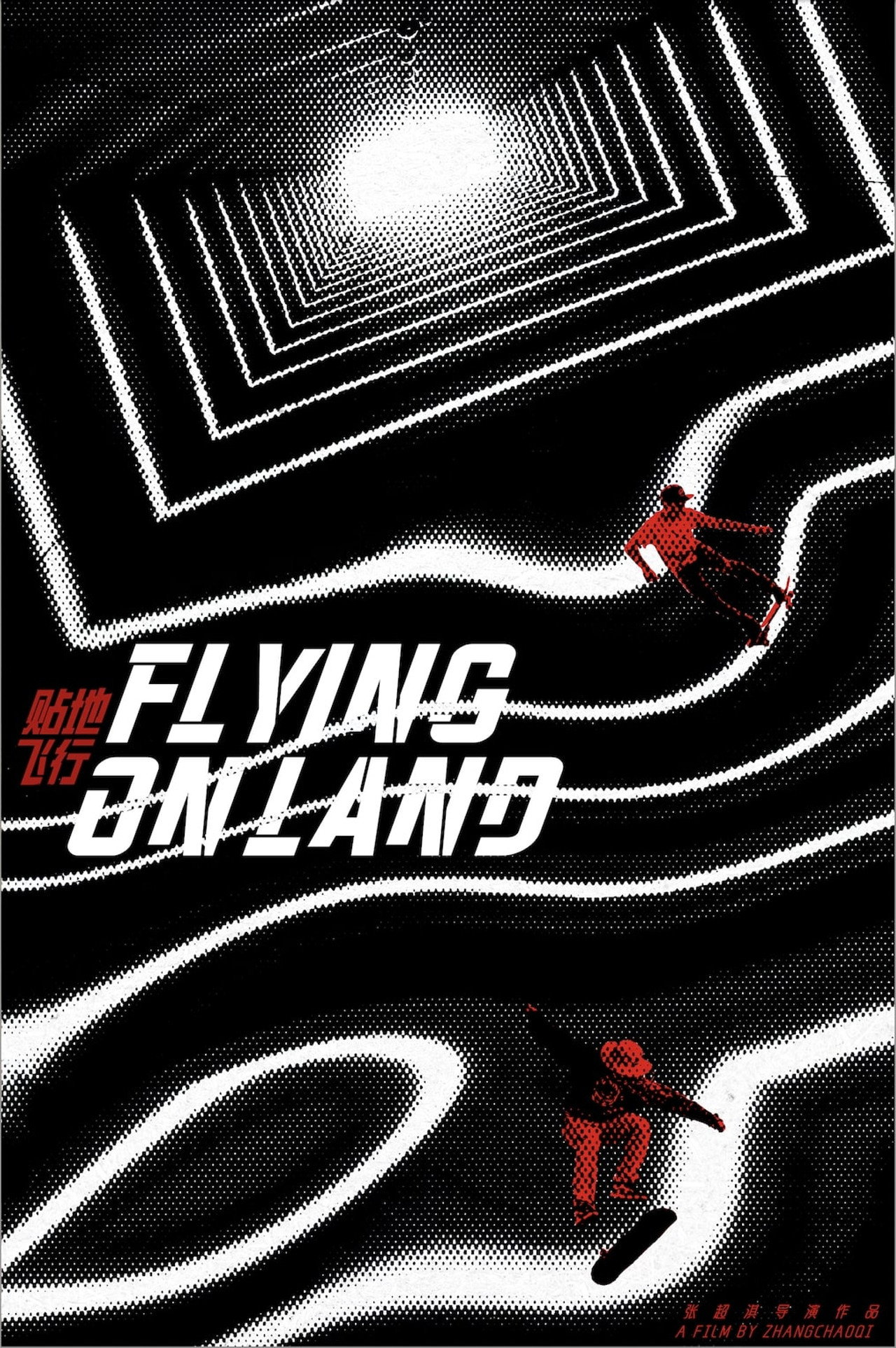 Flying On Land
