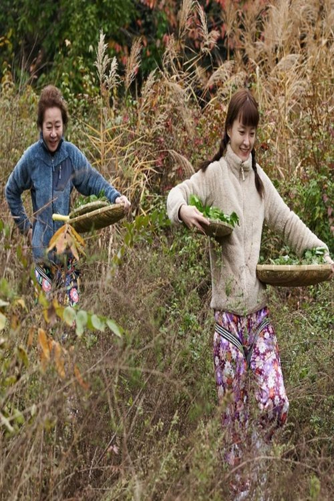 산나물 처녀 산나물 처녀