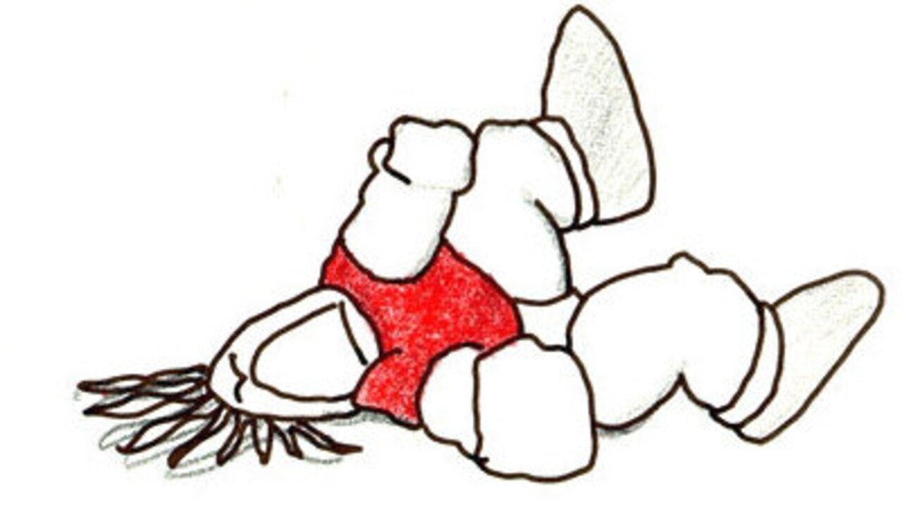 title image