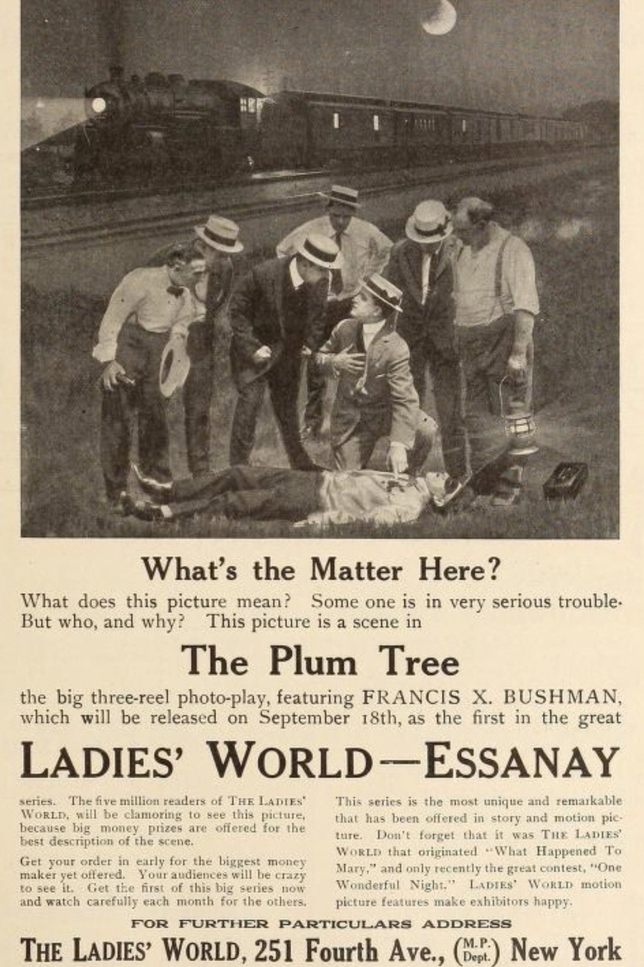 The Plum Tree