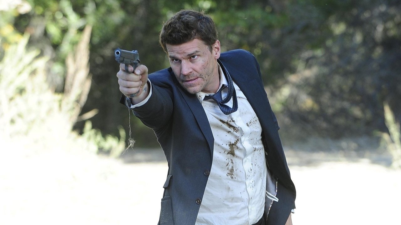 Bones - Season 6 Episode 11 : The Bullet in the Brain