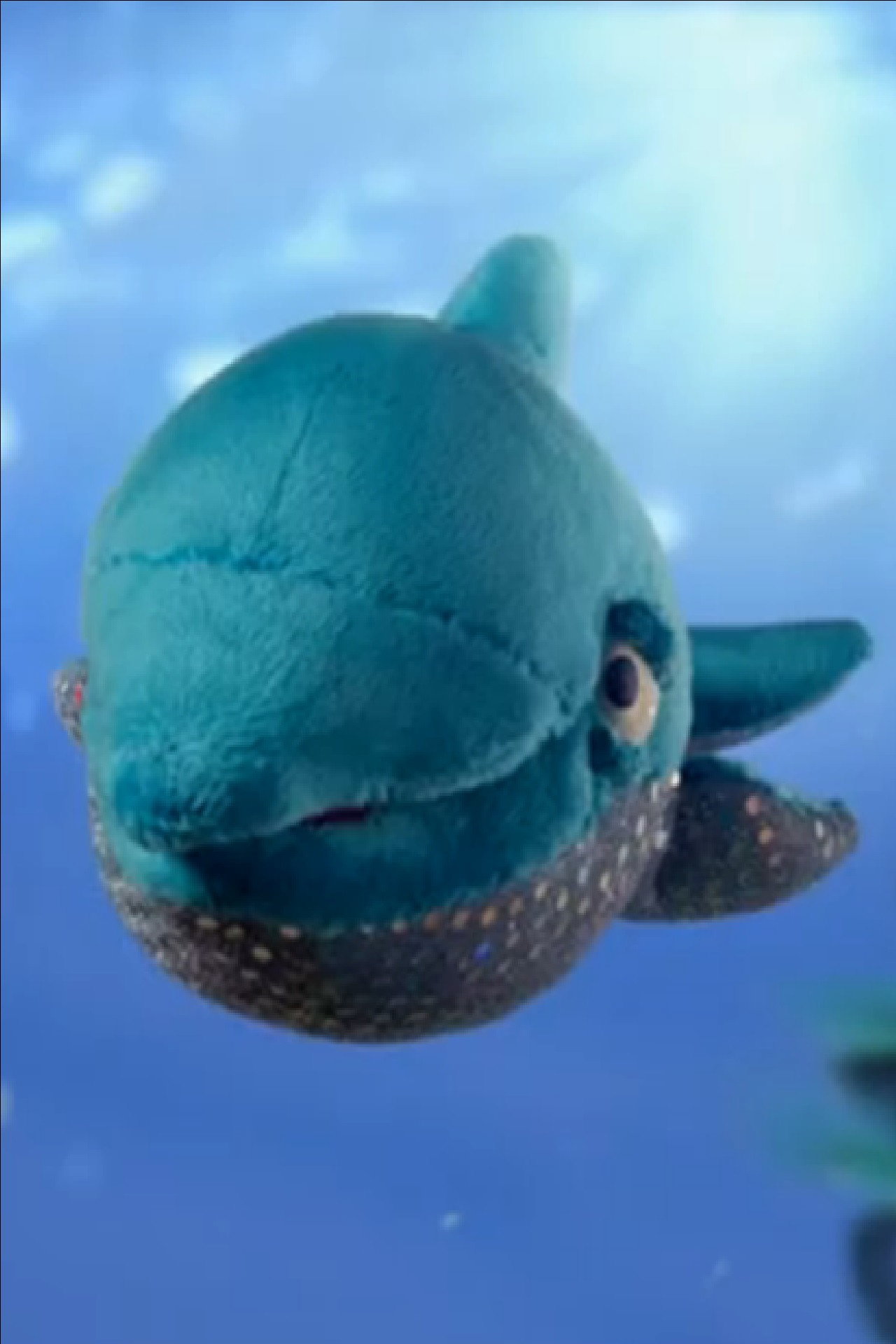 Dolphin filmaffisch