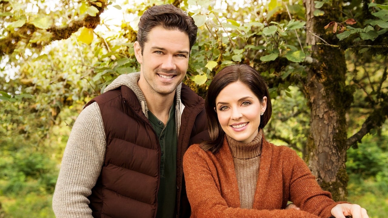 Harvest Love Backdrop Image