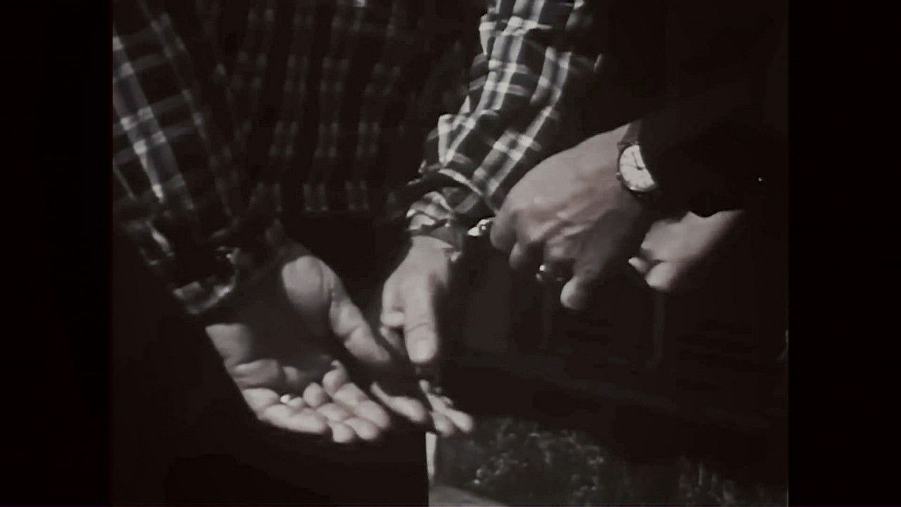 Fille de tueur ? — Épisode 2