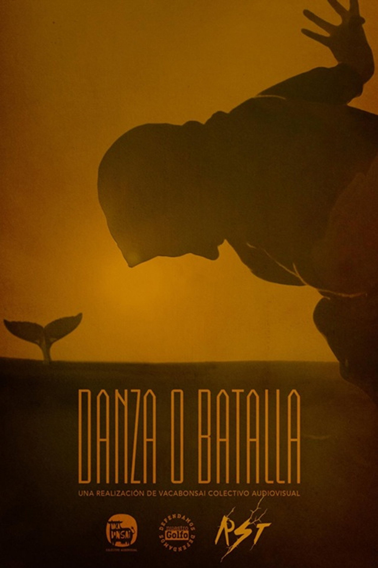 Danza o Batalla filmaffisch