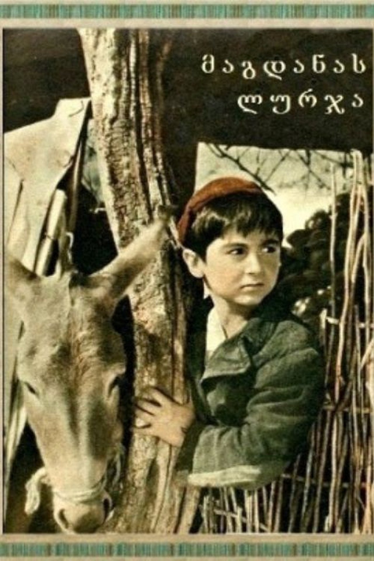 مشاهدة فيلم Magdana's Donkey مترجم بدون اعلانات - بوستر
