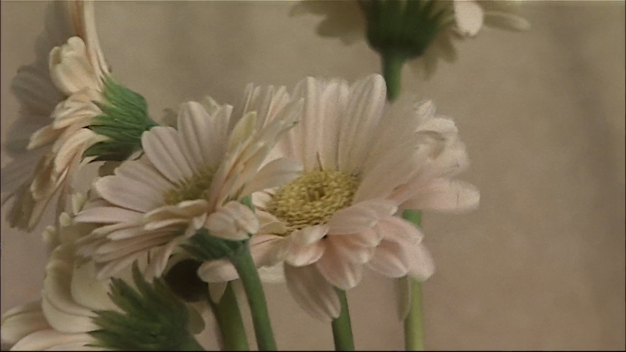 scenes 20