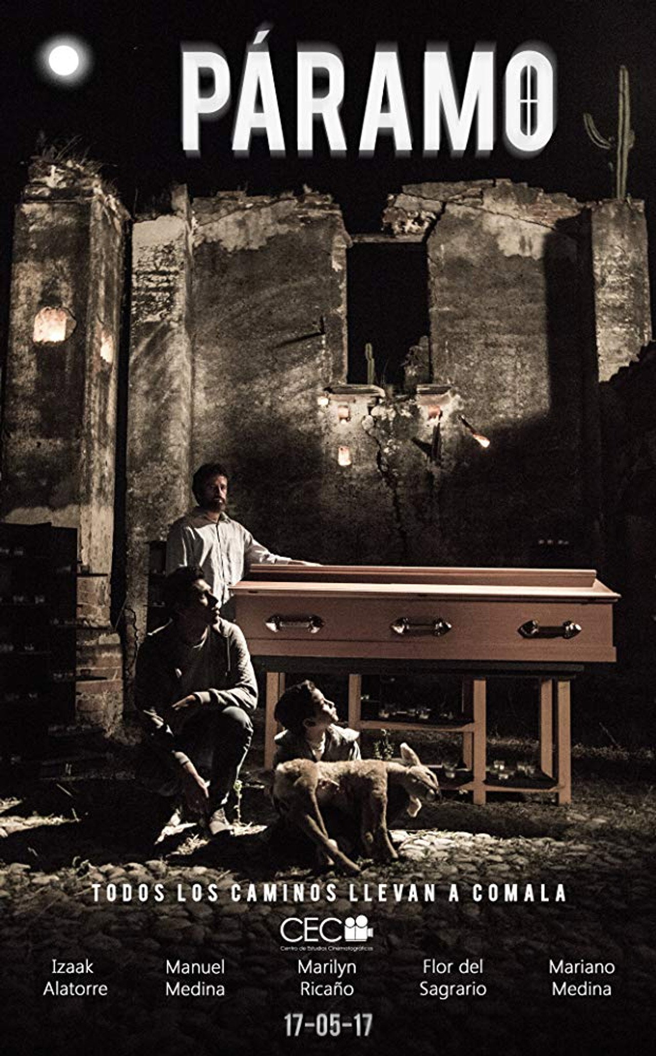 Páramo Backdrop
