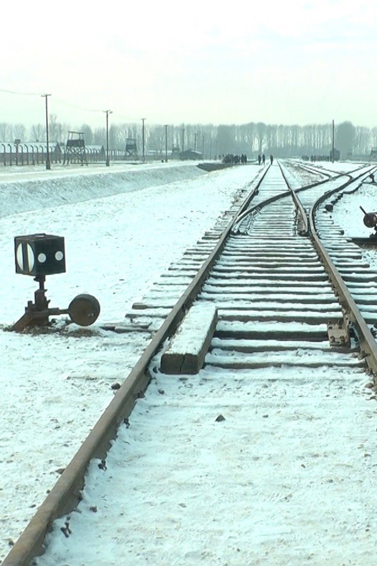 Mina 19 876 steg i Auschwitz / Birkenau filmaffisch