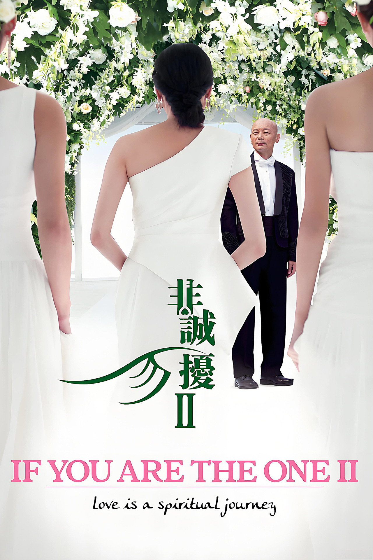 非诚勿扰2 filmaffisch