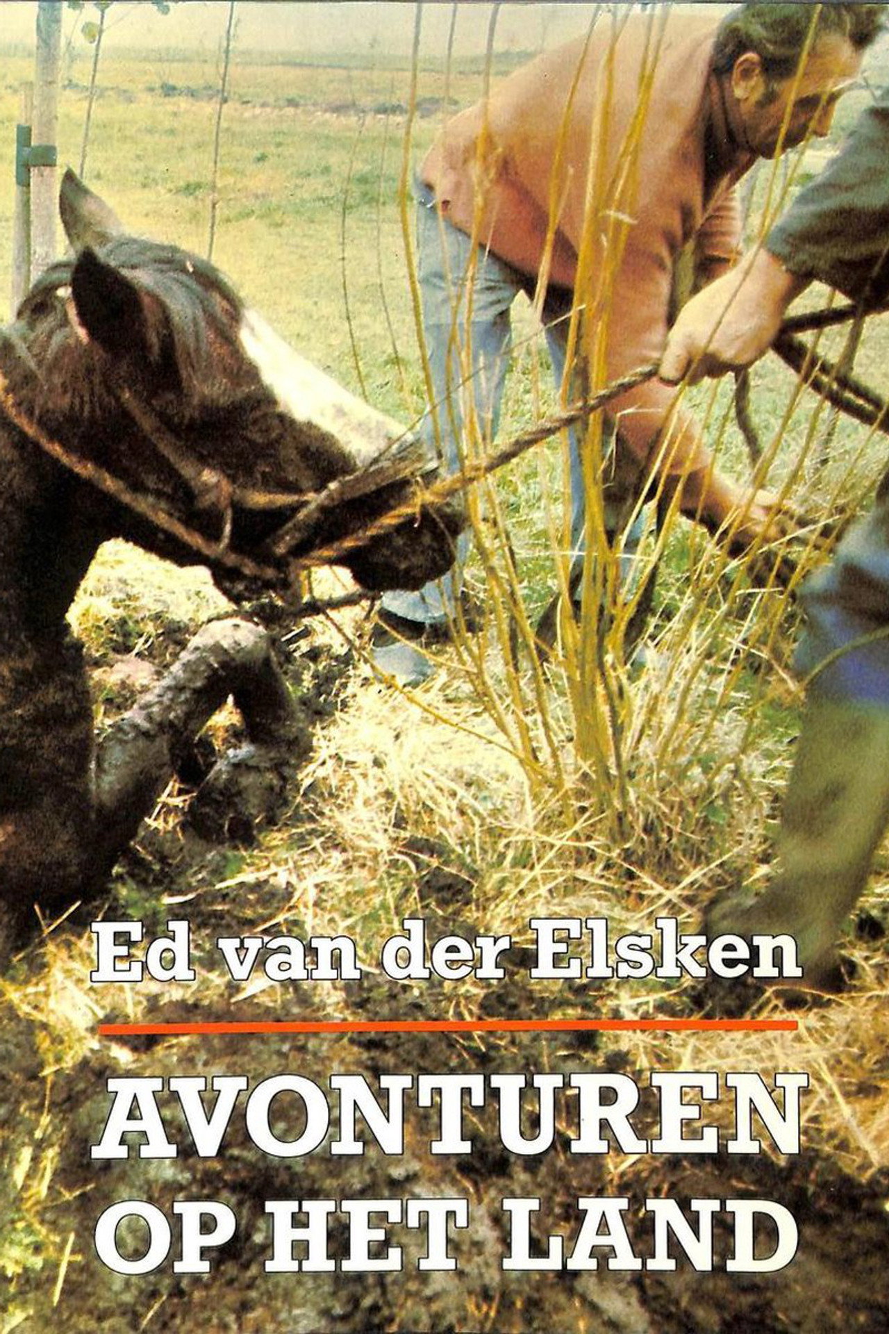 Avonturen op het land filmaffisch