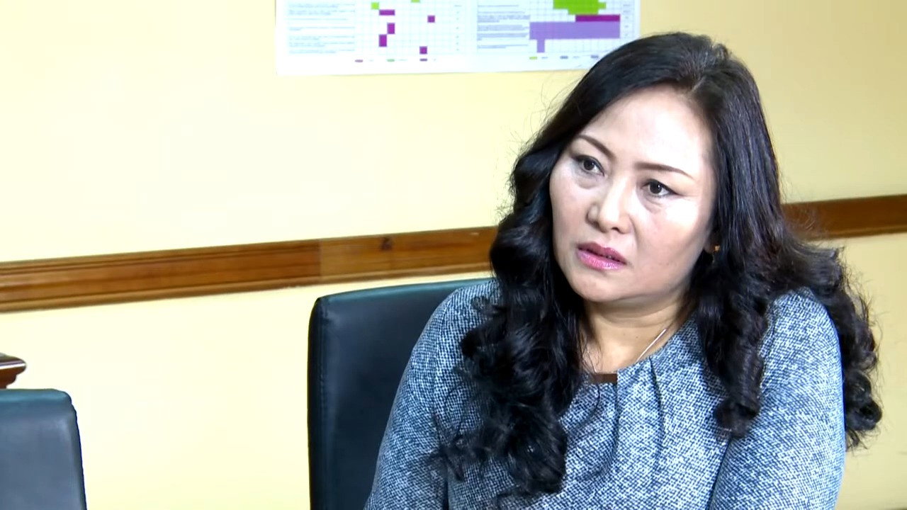 Terrible Migration backdrop