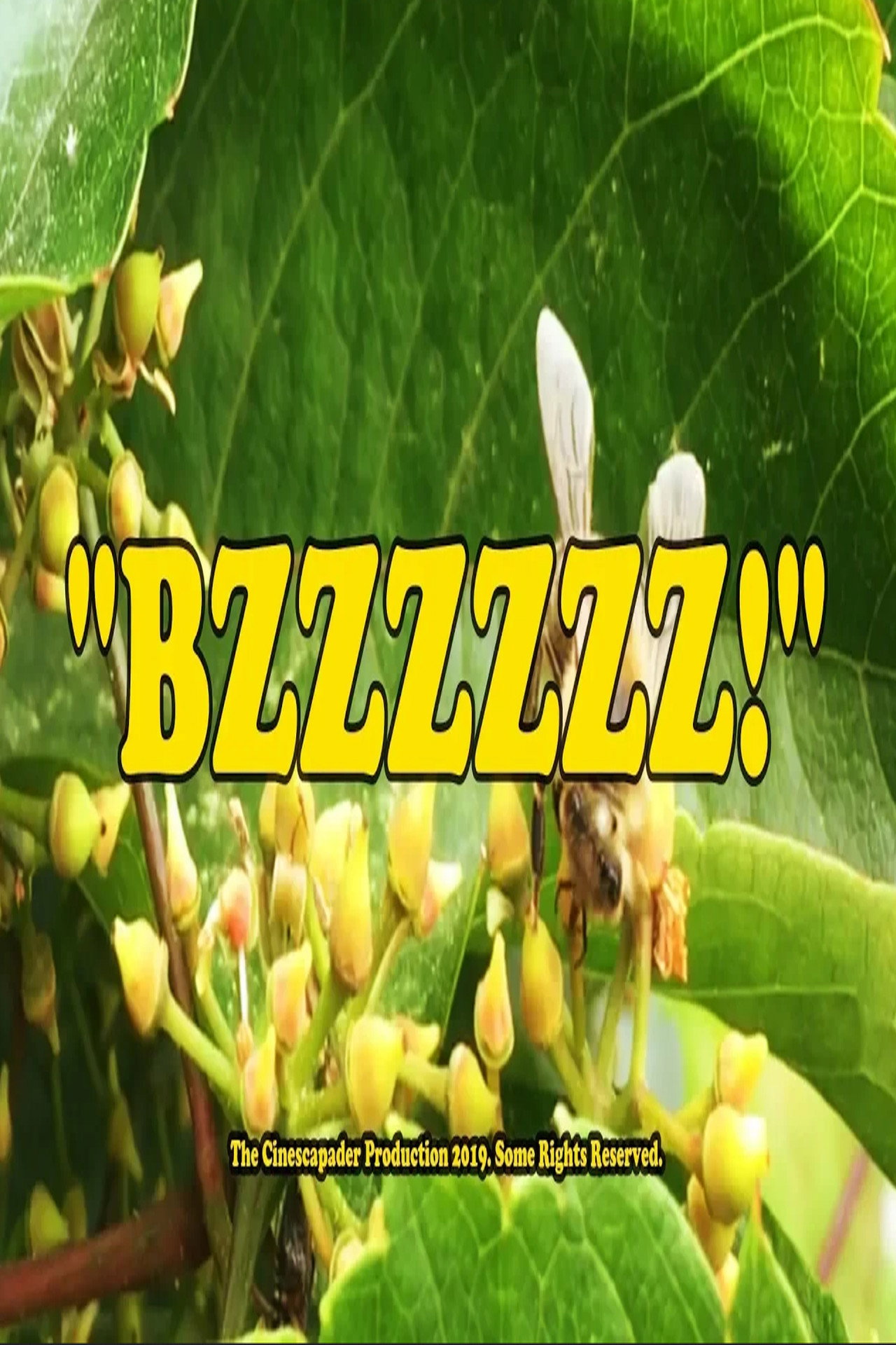 BZZZZZZ! filmaffisch
