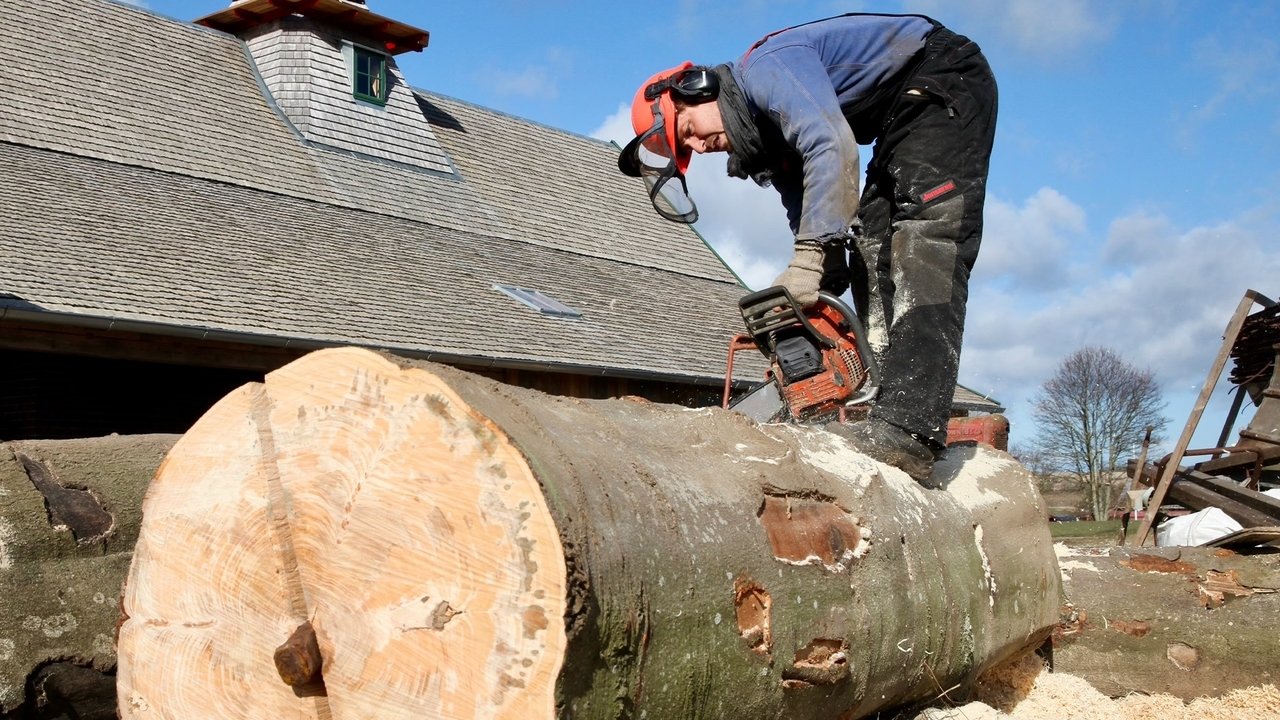 Frank & Kastaniegaarden - Season 29 Episode 7 : Episode 7