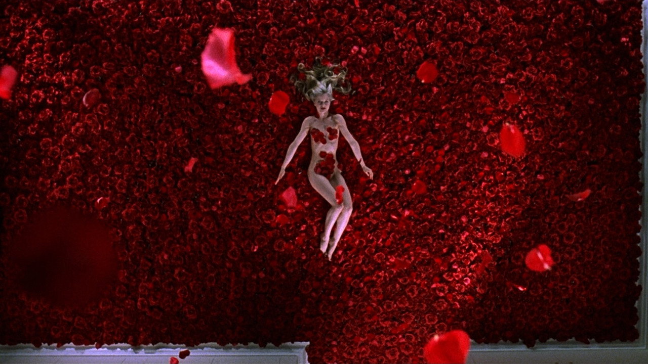 American Beauty background 34