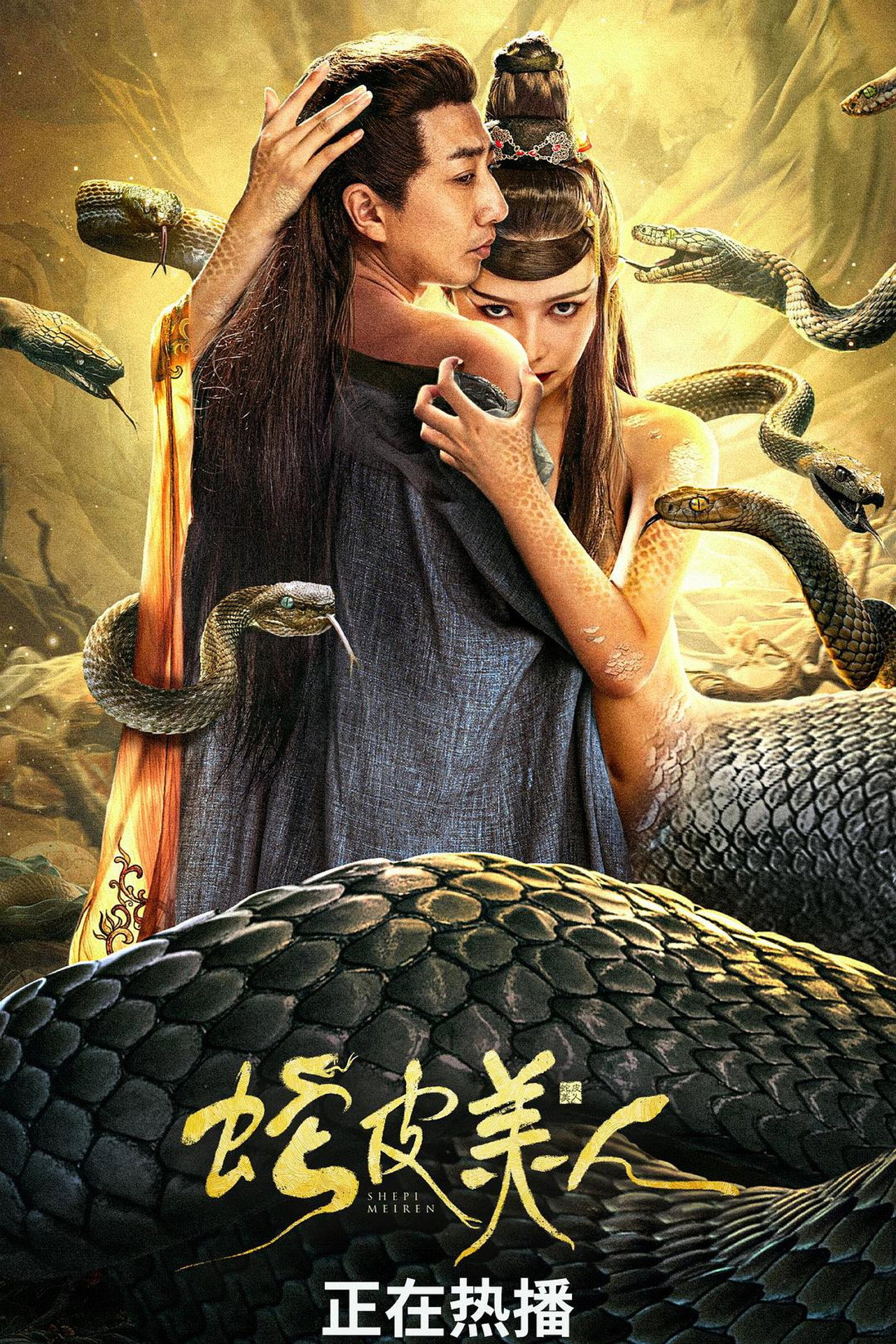 蛇皮美人 filmaffisch