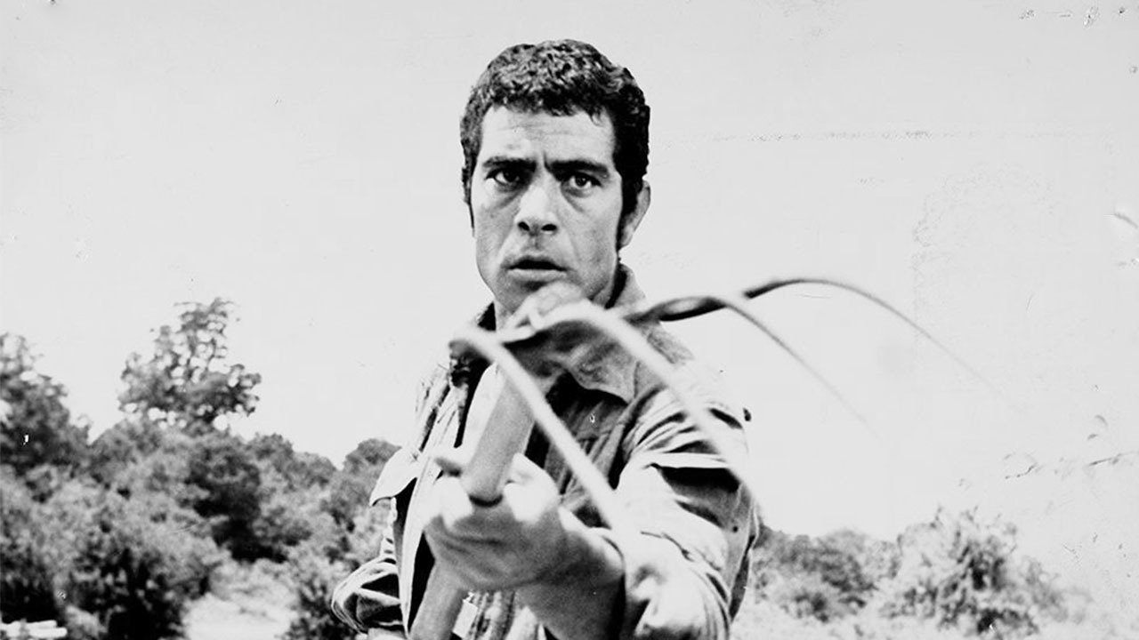 رشید رشید
