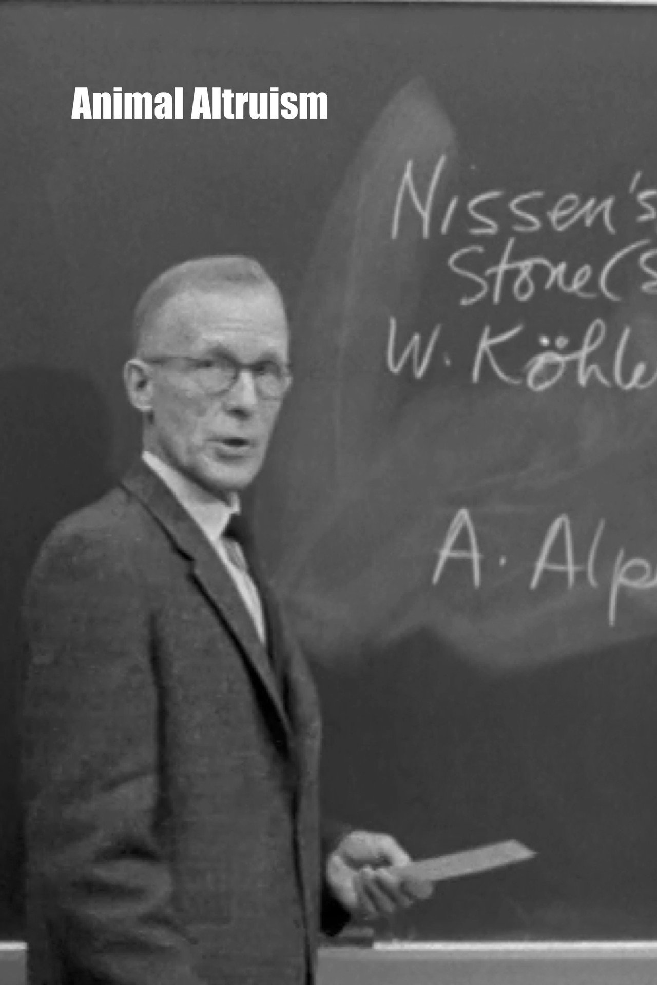 Animal Altruism filmaffisch