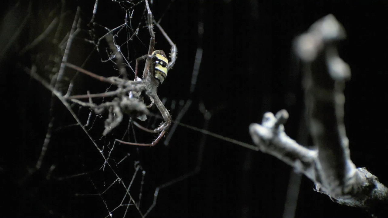 Wild Ones — Épisode 10