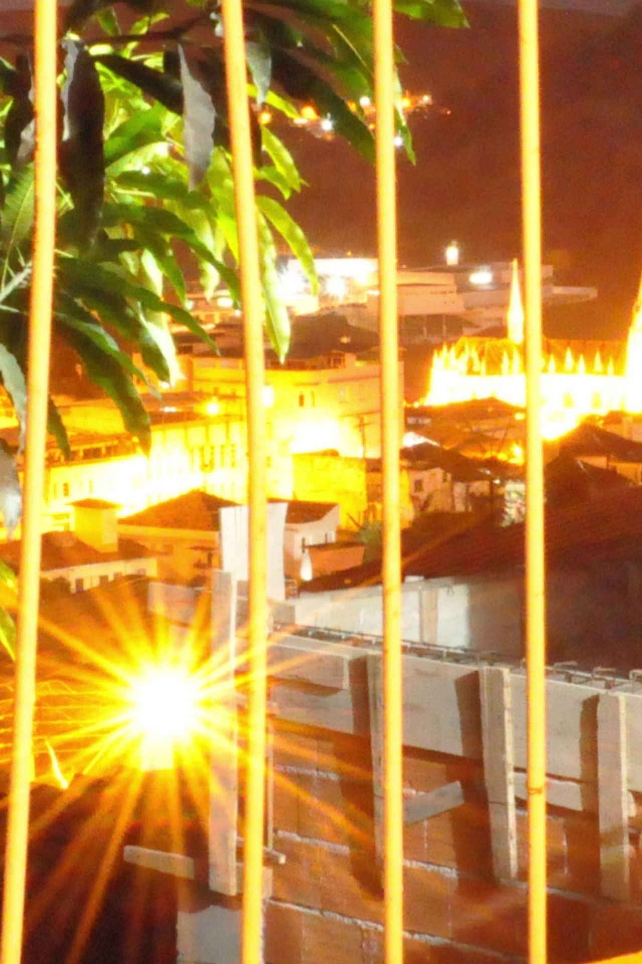 Ponte Nova Dreamin' Backdrop