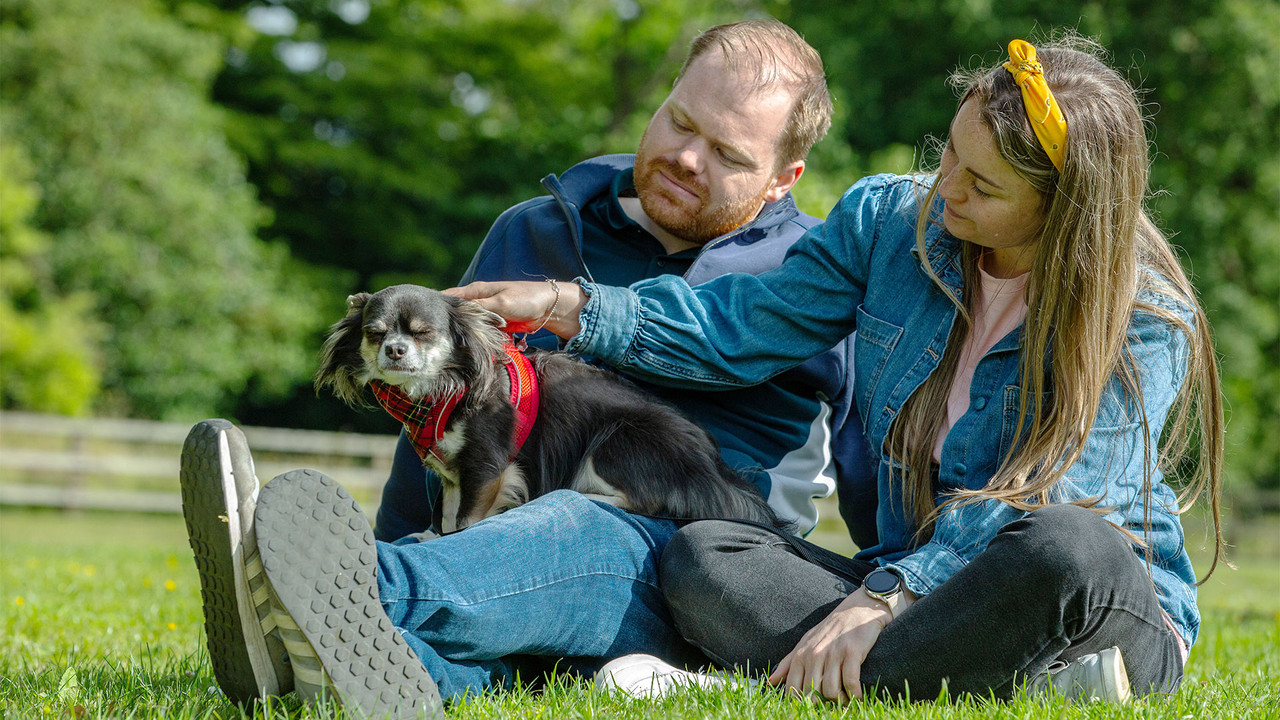 Bad Dog Academy - Season 1 Episode 6 : Episode 6