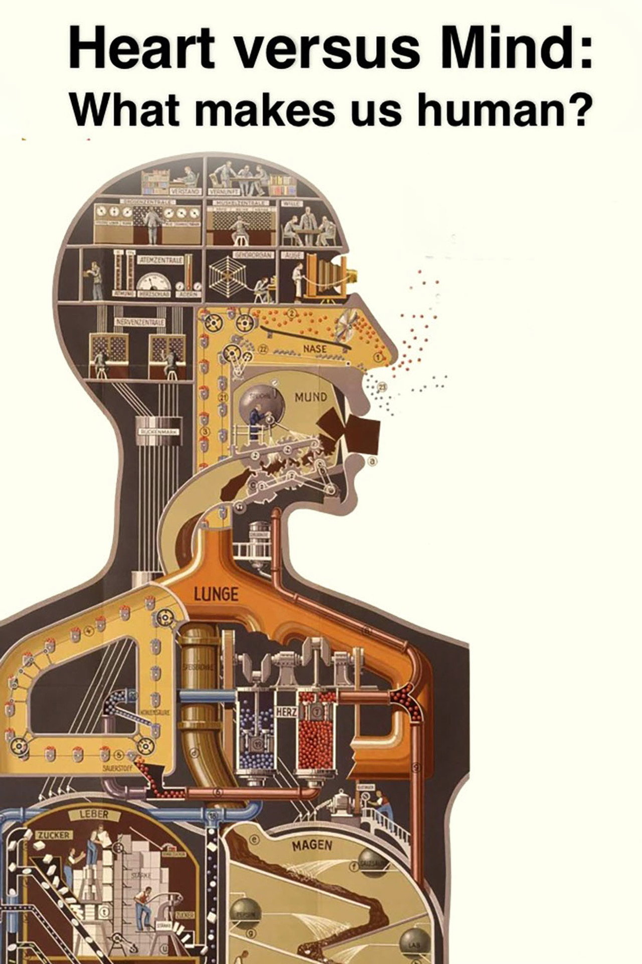 Heart vs Mind: What Makes Us Human? filmaffisch