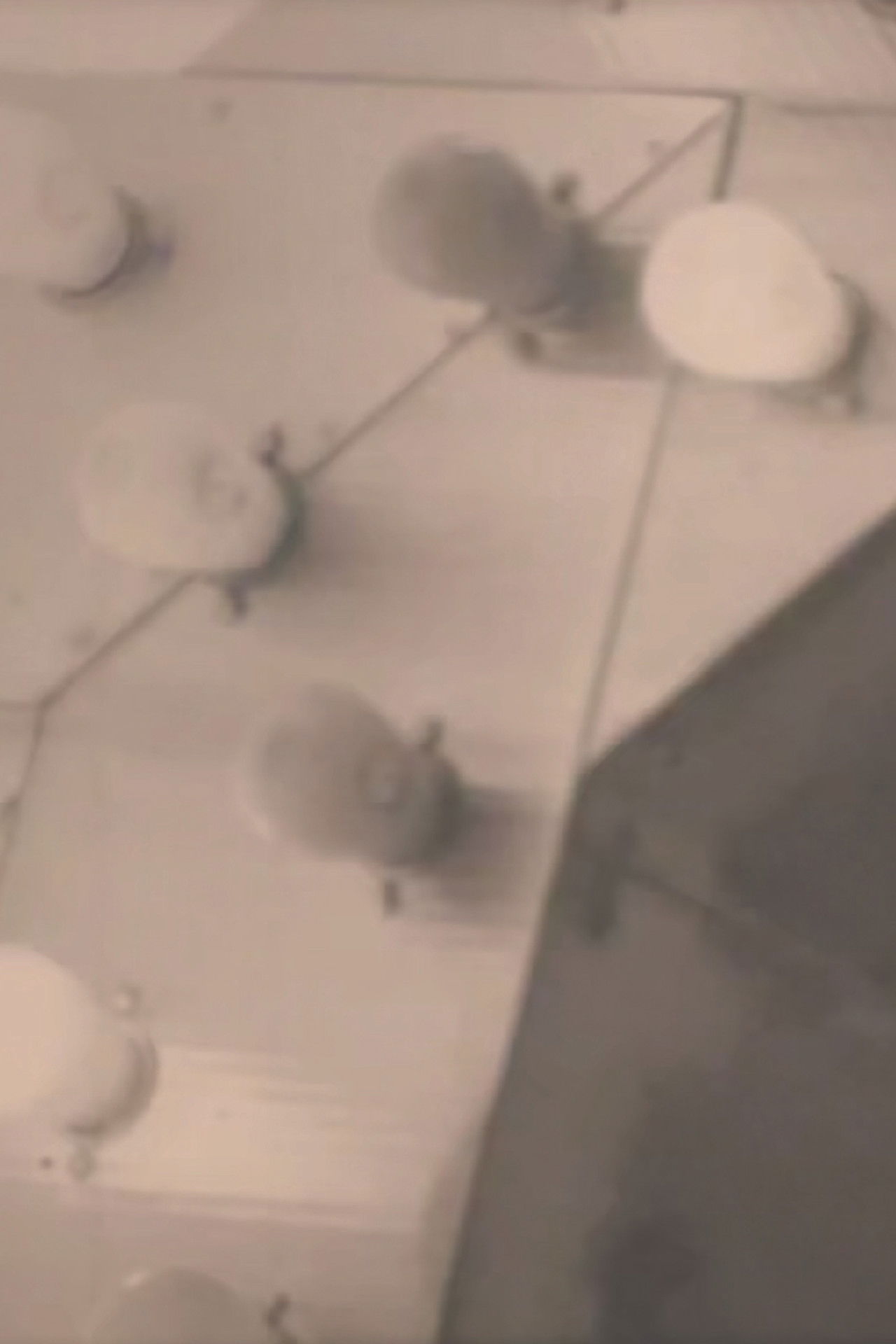 Notes on the Buffalo Conference: “Autobiography in American Independent Cinema” Backdrop