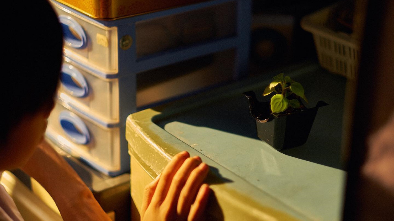 The Withering backdrop