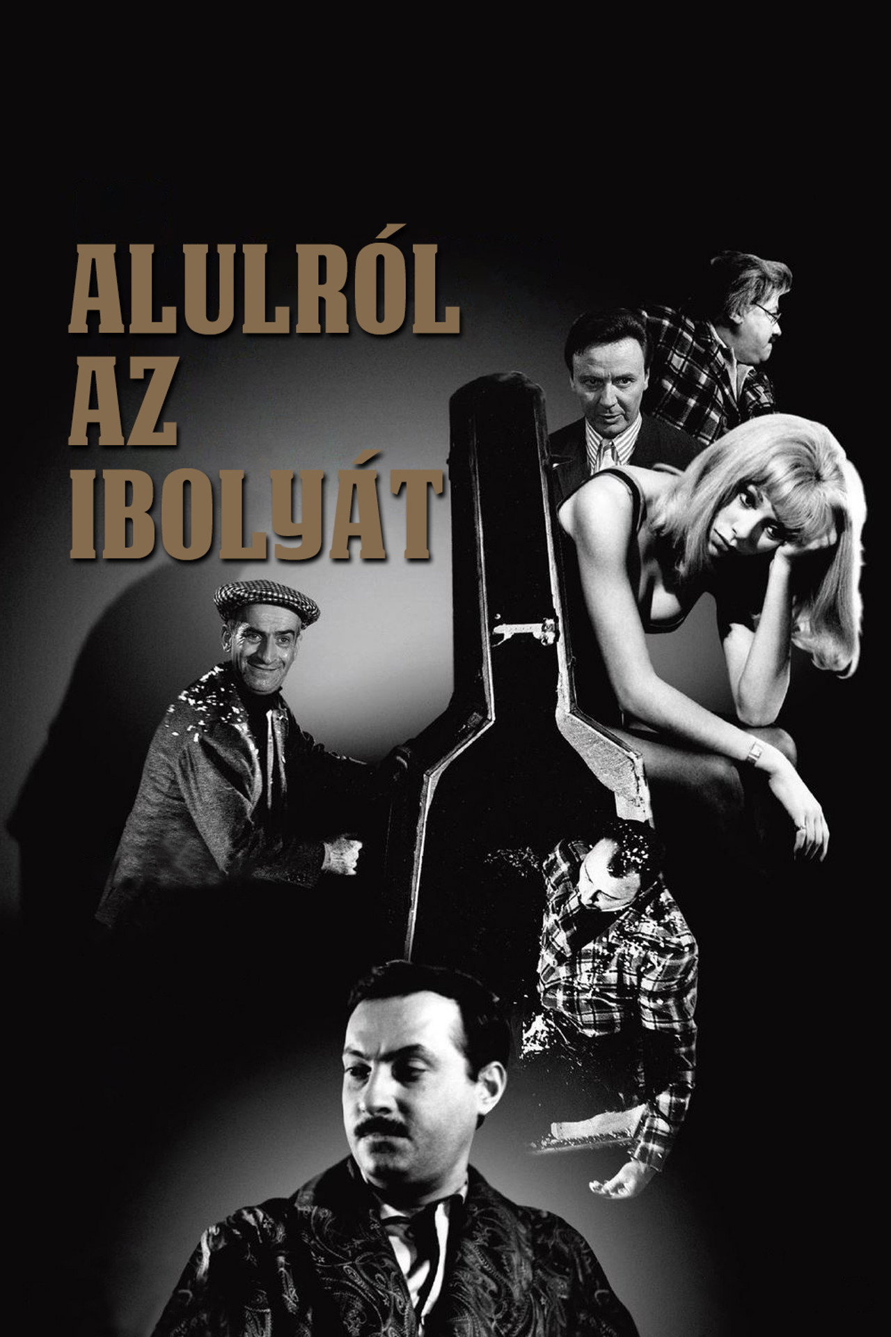 Alulról az ibolyát – plakát 5