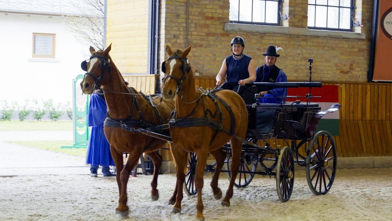 The Amazing Race - Season 38 Episode 4 : What Would Houdini Do?