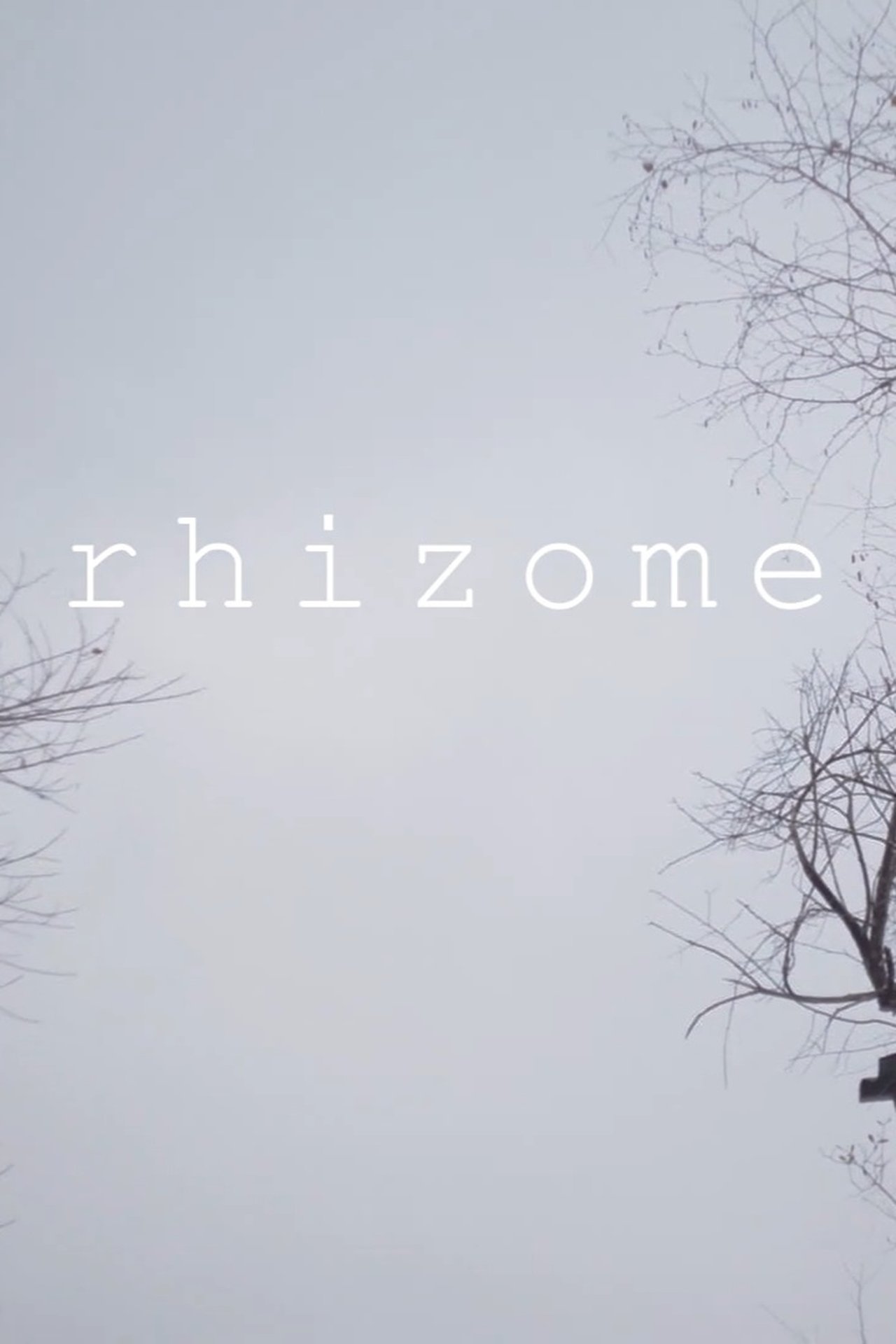 Rhizome Rhizome