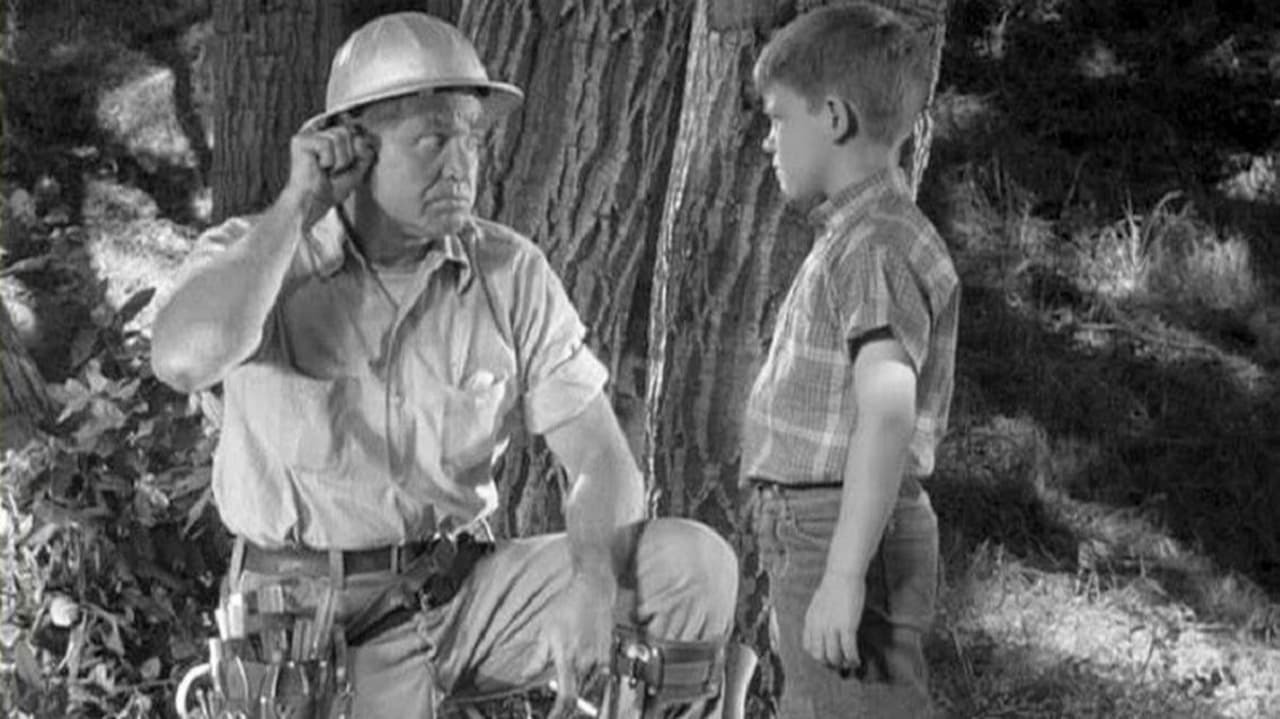 The Andy Griffith Show - Season 3 Episode 1 : Mr. McBeevee