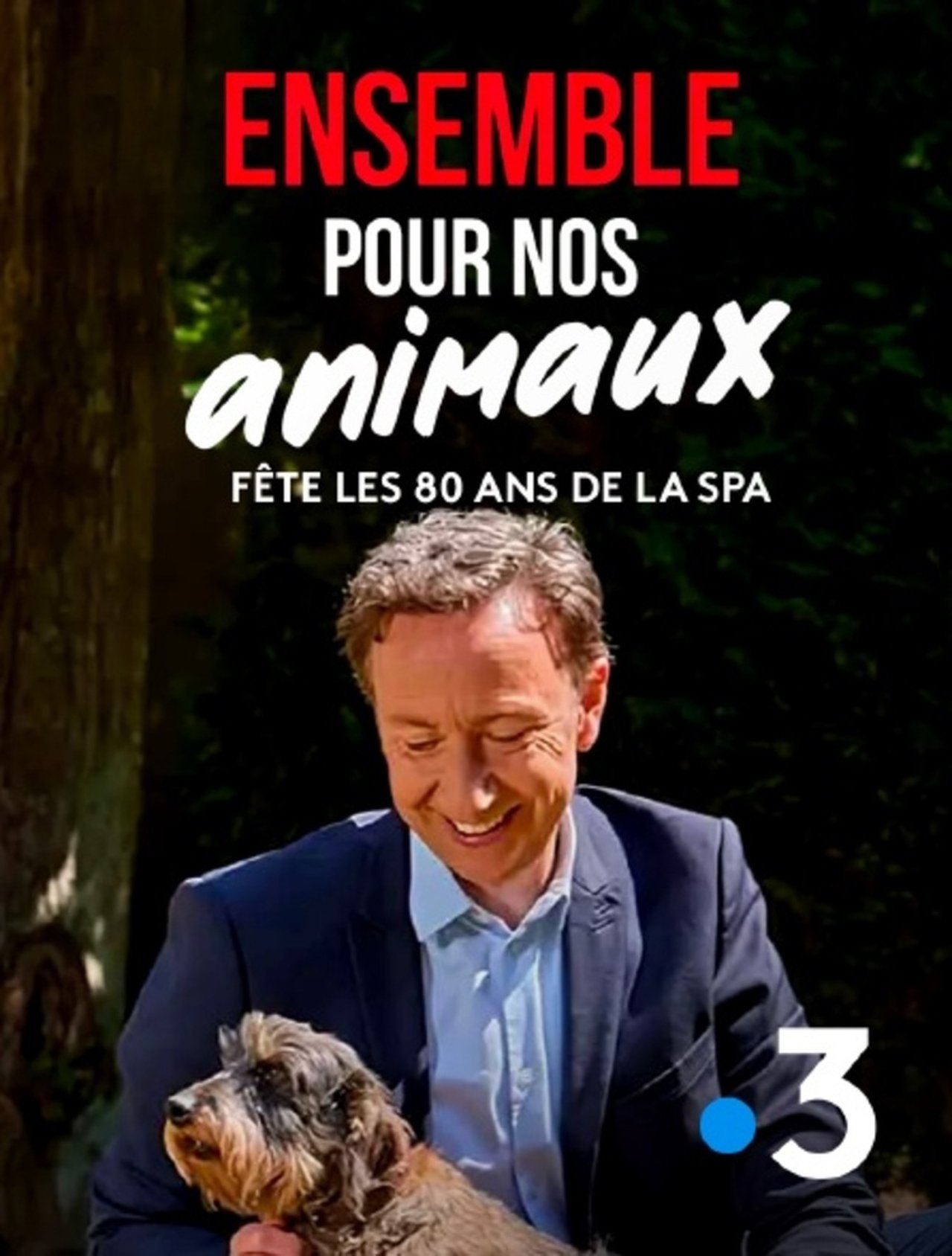 مشاهدة فيلم Ensemble pour nos animaux - fête les 180 ans de la SPA مترجم بدون اعلانات - بوستر