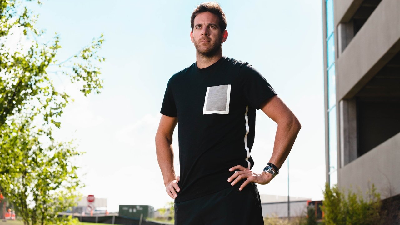 Del Potro, el último match point