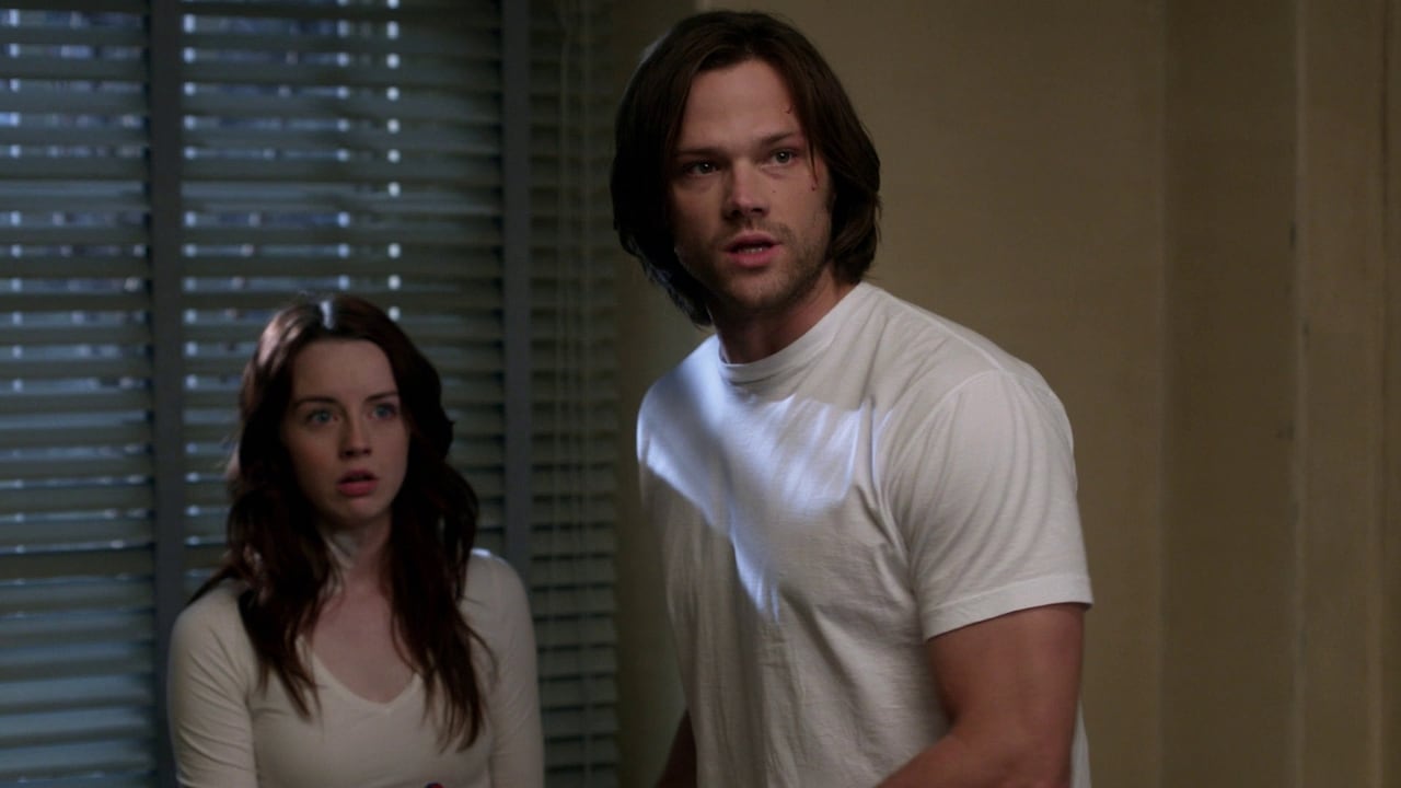 Supernatural - Season 7 Episode 17 : The Born-Again Identity