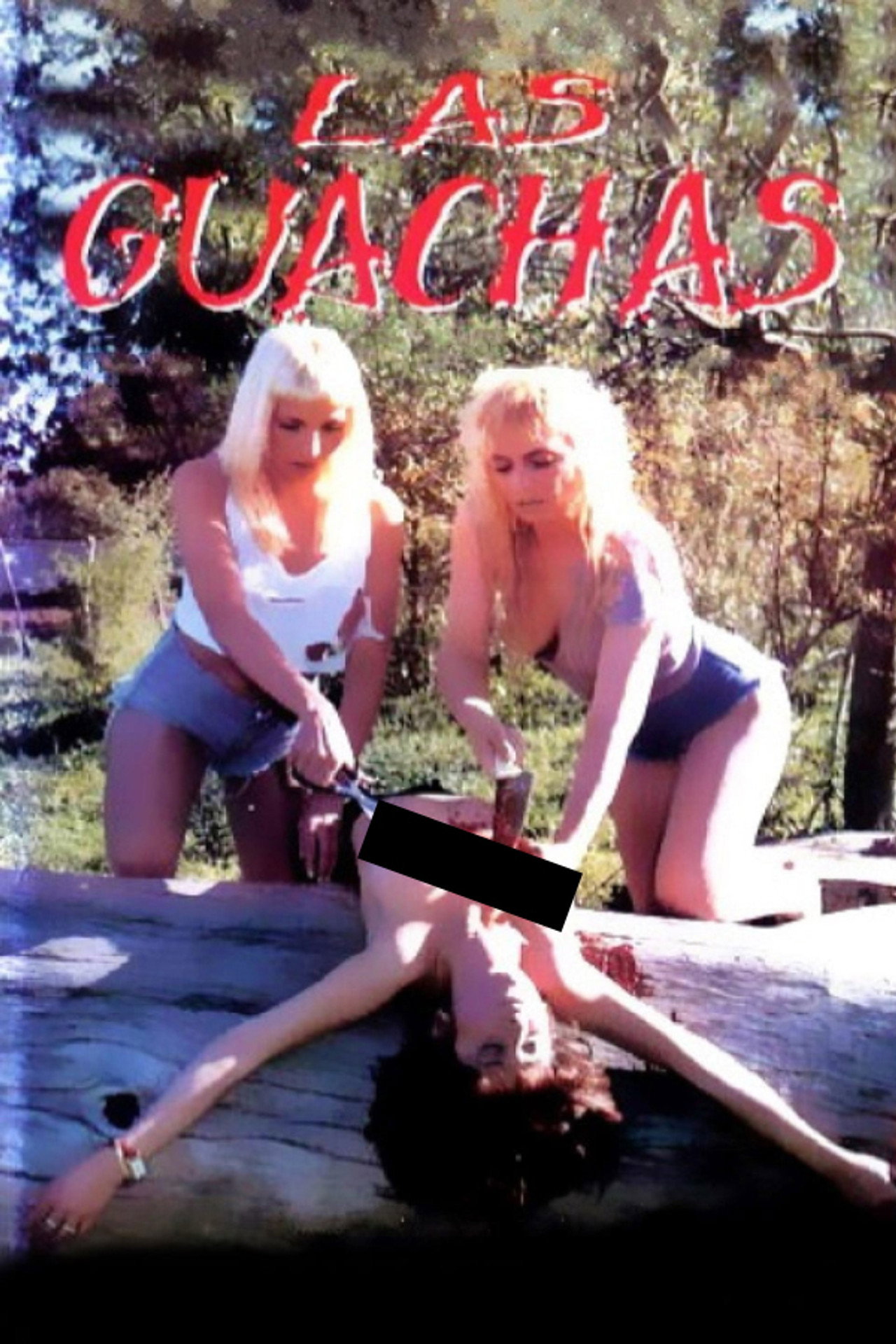 posters 4