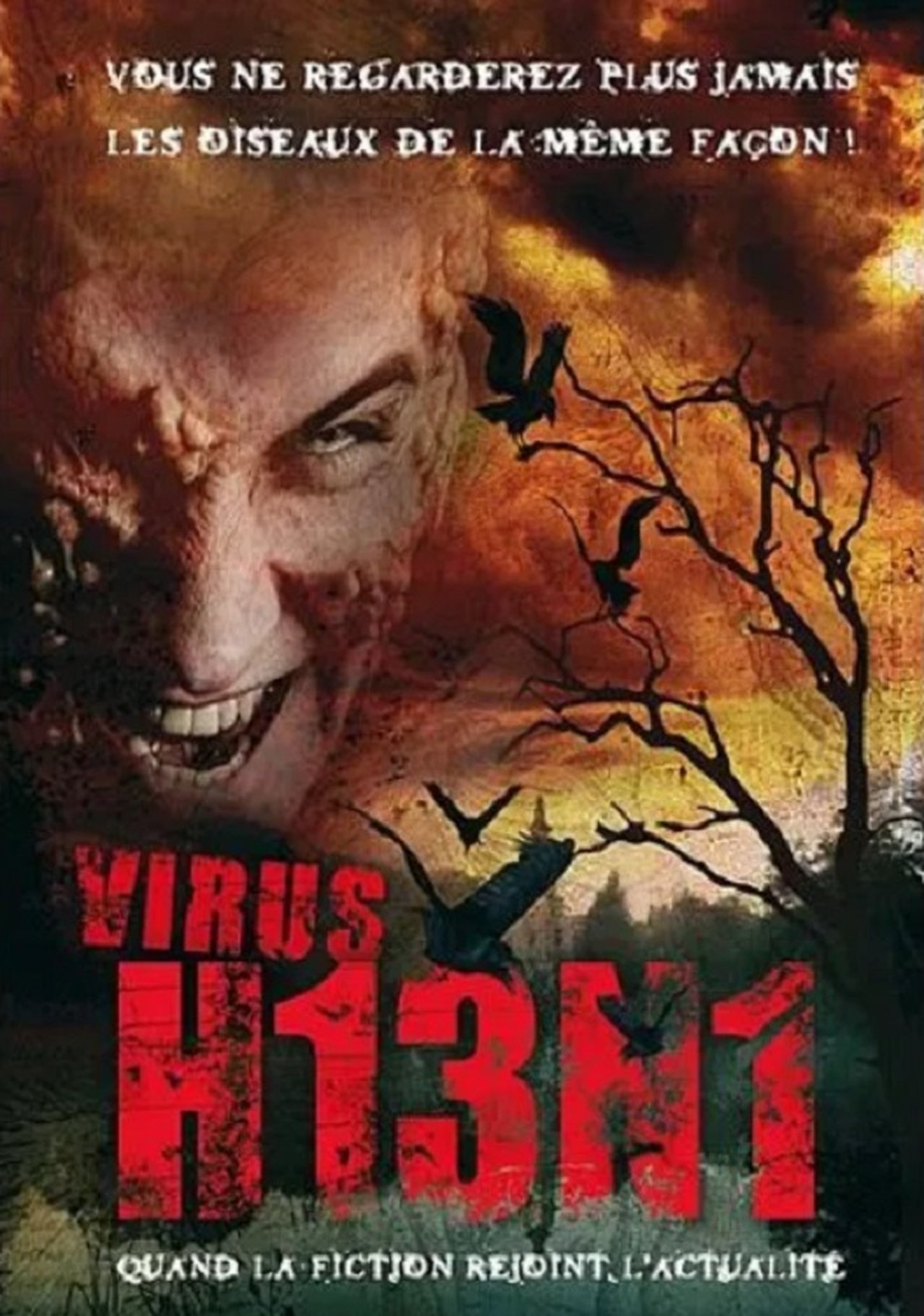 Virus H13N1 poster
