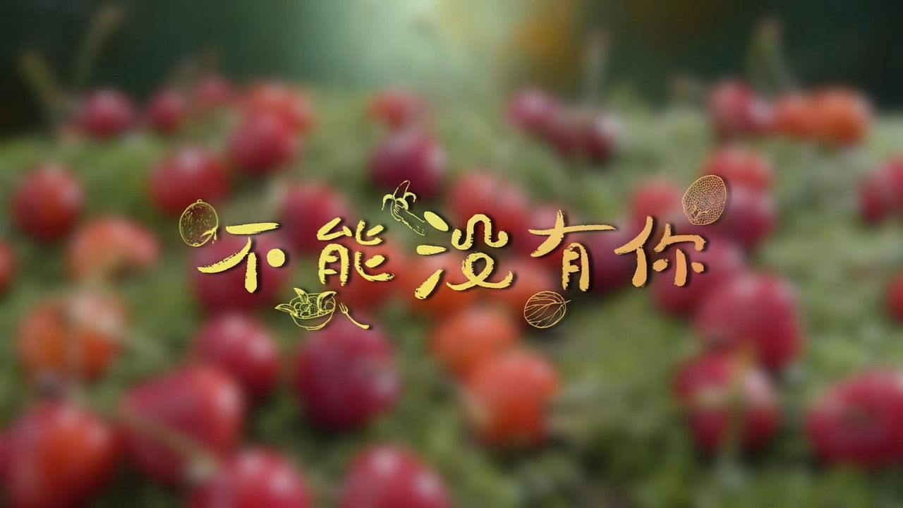 水果传 — Épisode 8