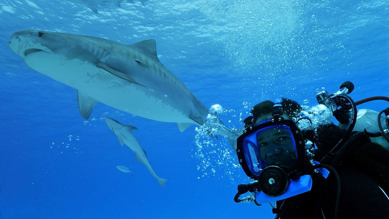 Deadly 60 — Épisode 8