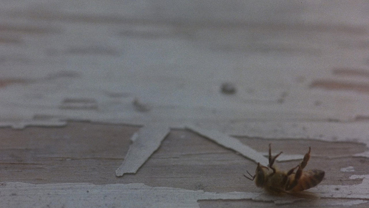 Candyman: Farewell to the Flesh