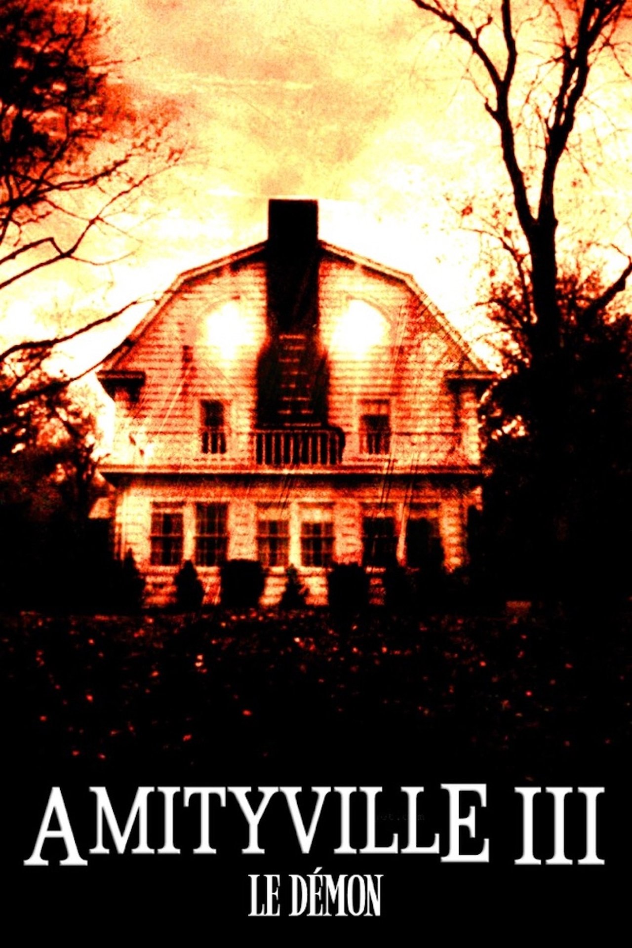 Amityville III : Le démon poster