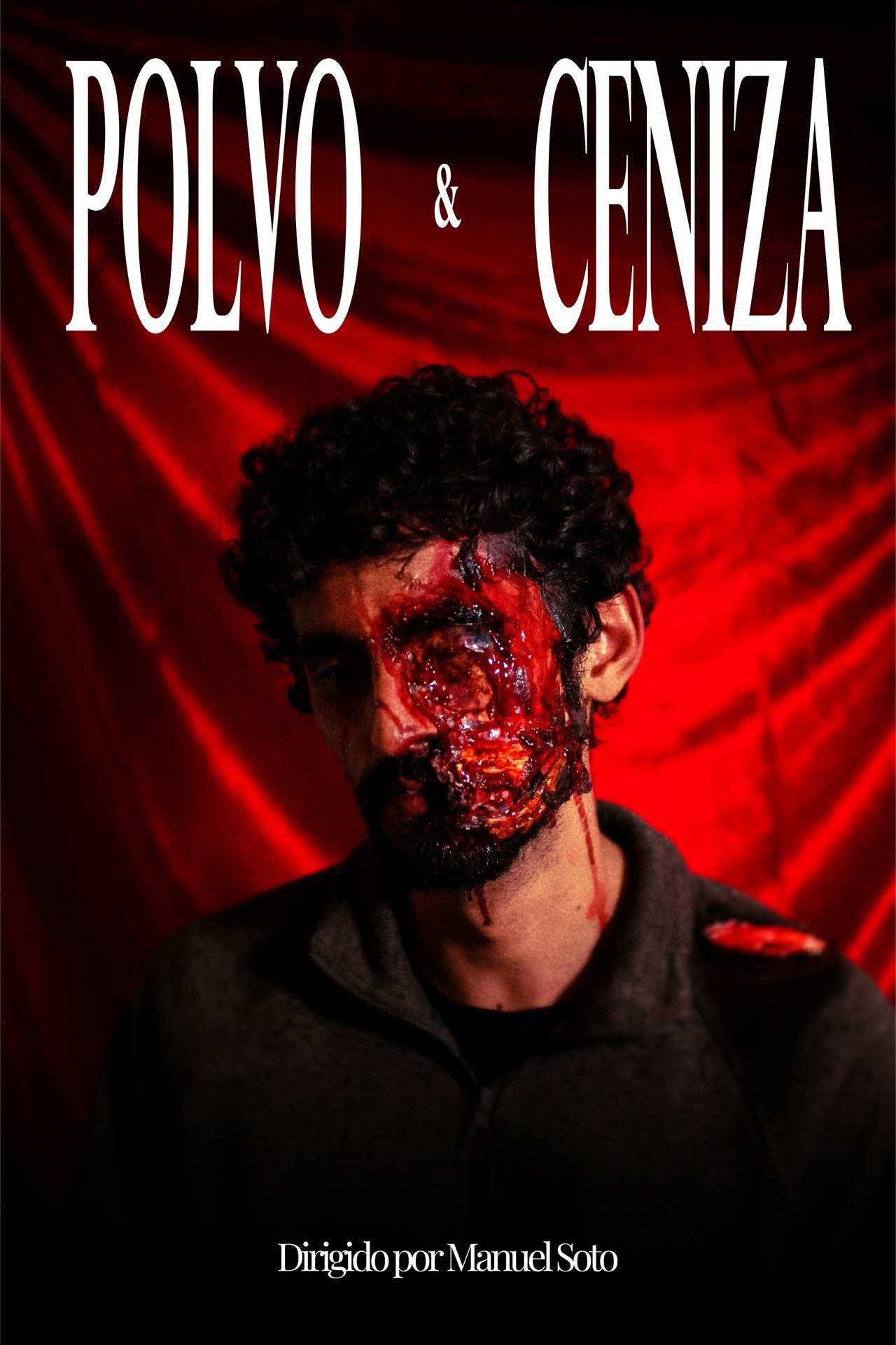 Polvo y Ceniza poster