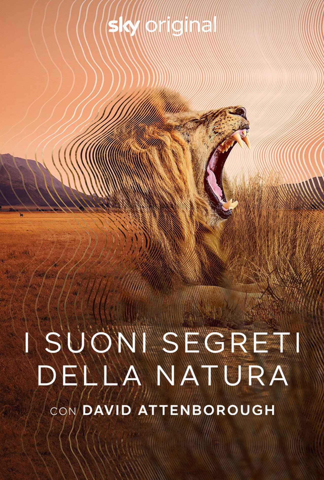 Secret World of Sound with David Attenborough (2024) Hindi Season 1 Complete backdrop