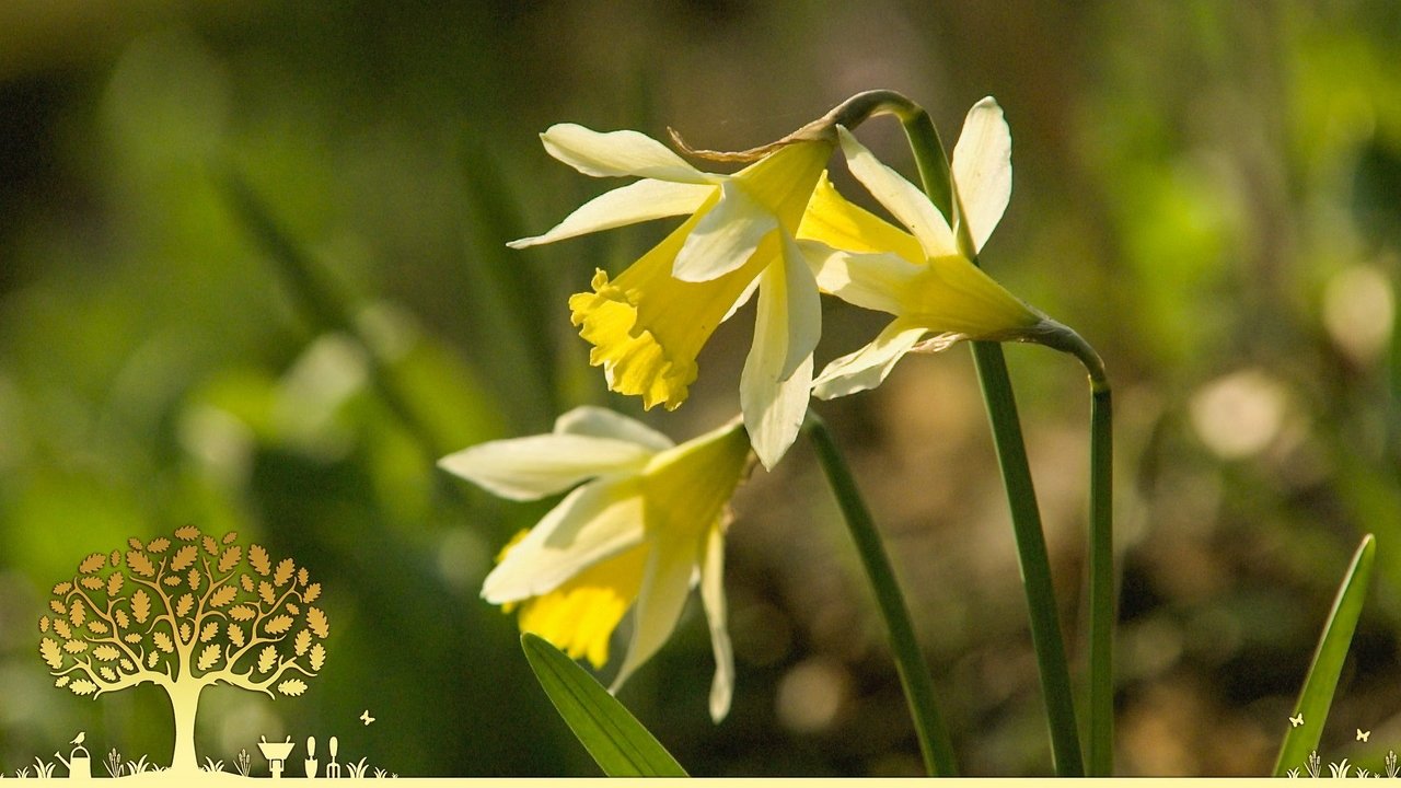 Gardeners' World - Season 55 Episode 2 : Episode 2