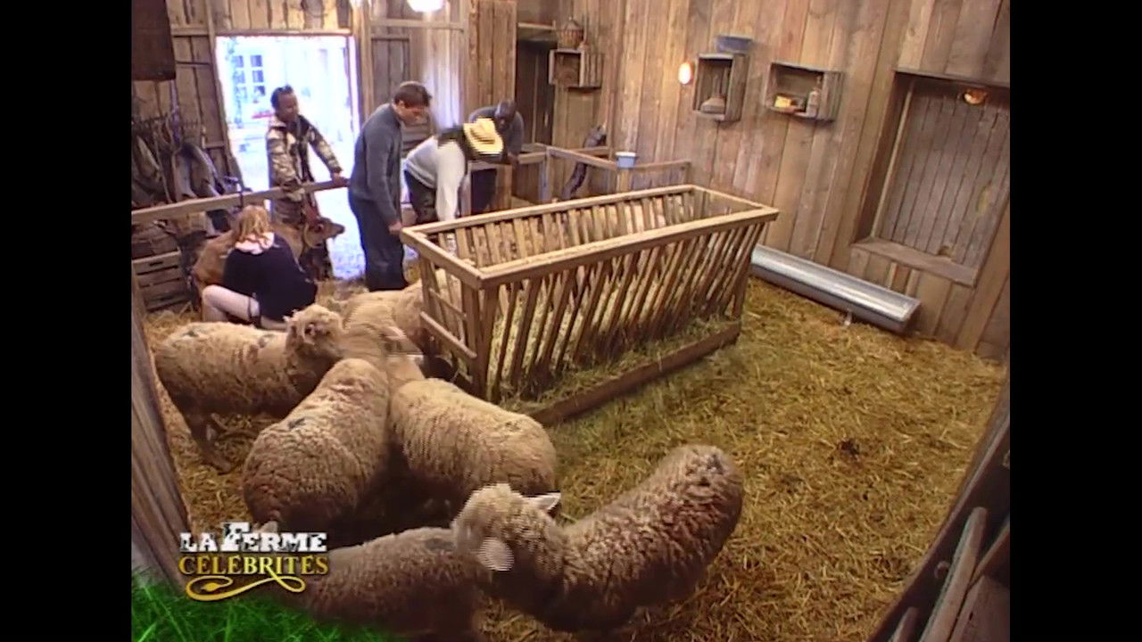 La Ferme Célébrités — Quotidienne n°2 - Jour 2