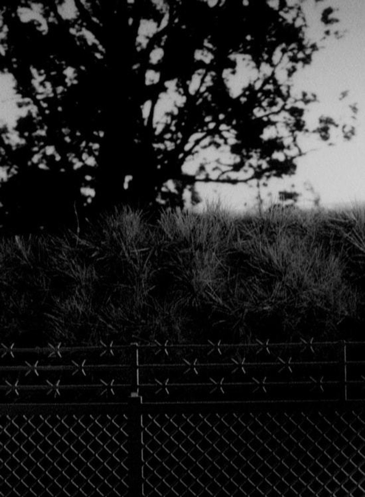 Arbor filmaffisch