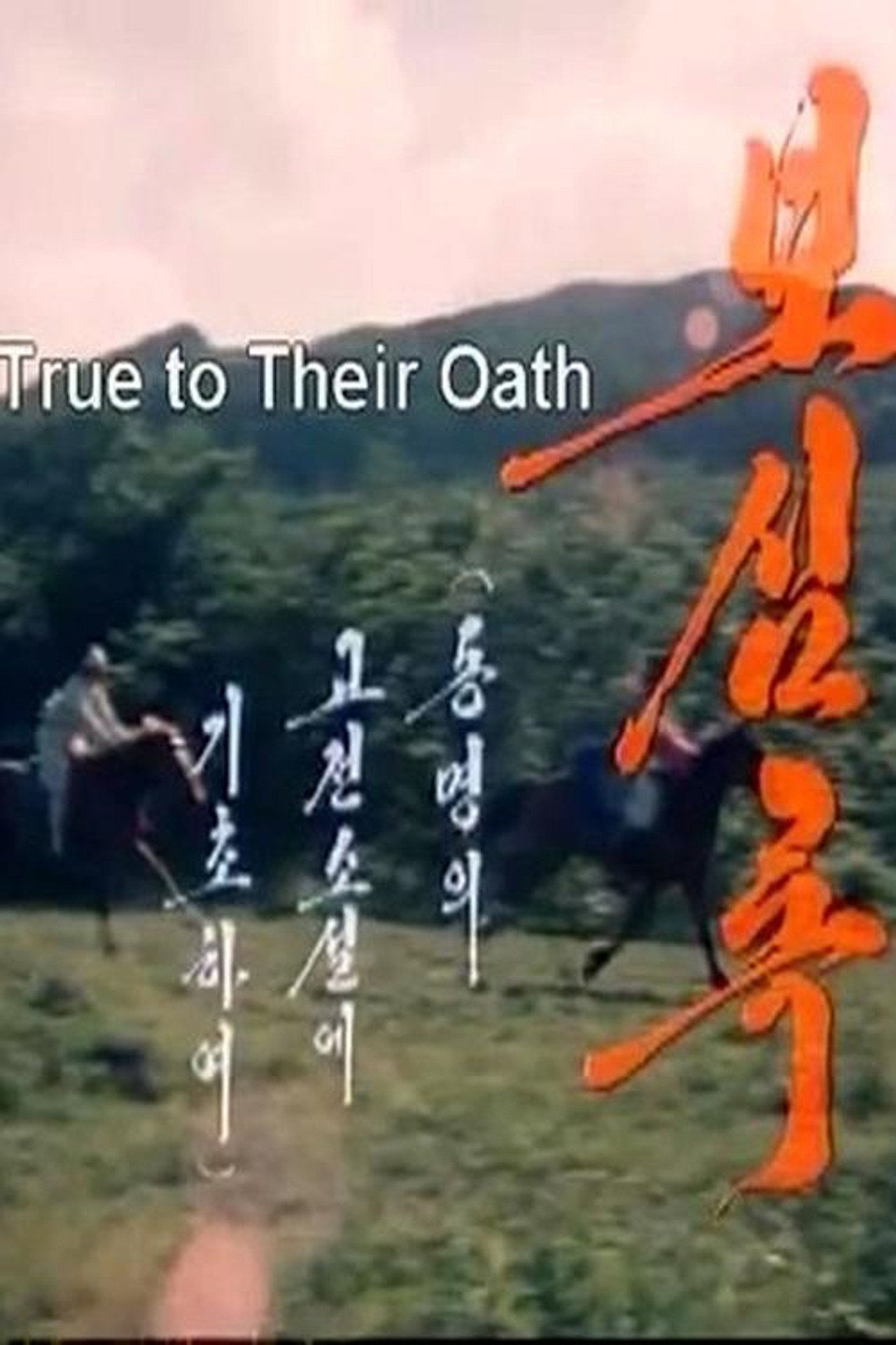 보심록 filmaffisch
