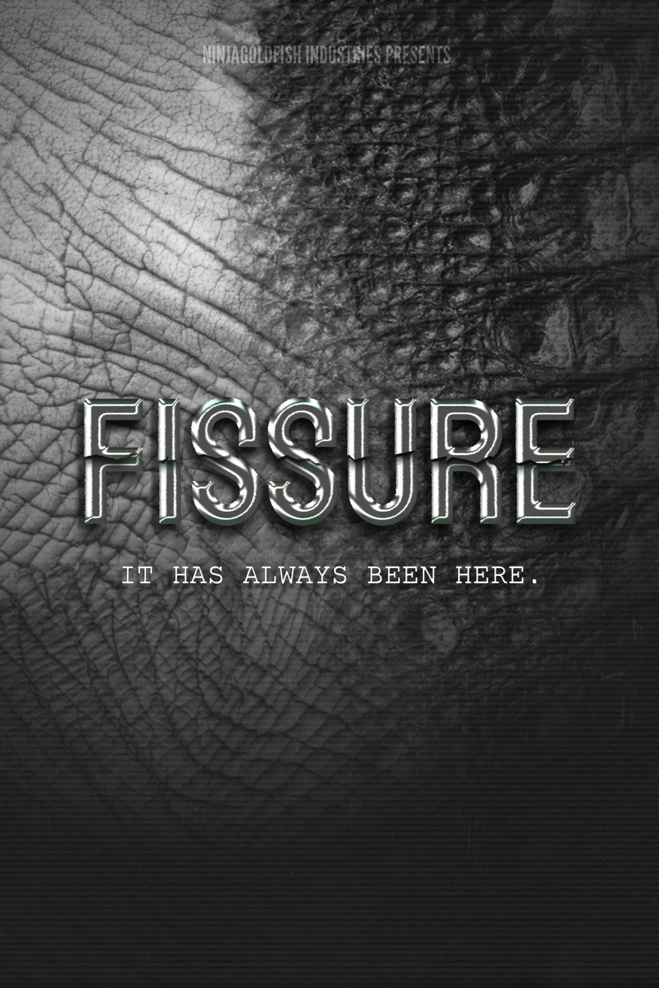 FISSURE